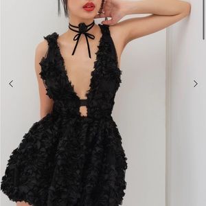 For love and lemons dress